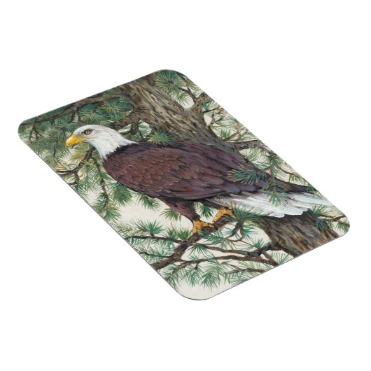 Bald Eagle in Branch Magneet (Rechterzijde)