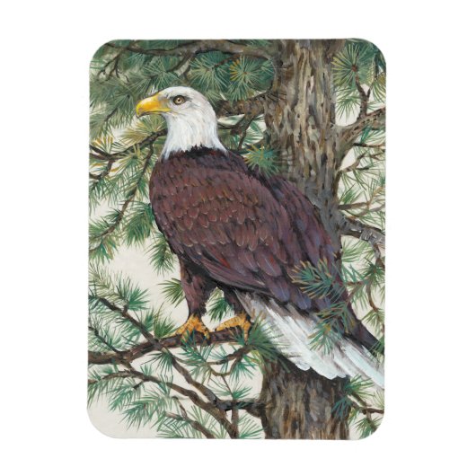 Bald Eagle in Branch Magneet (Verticaal)