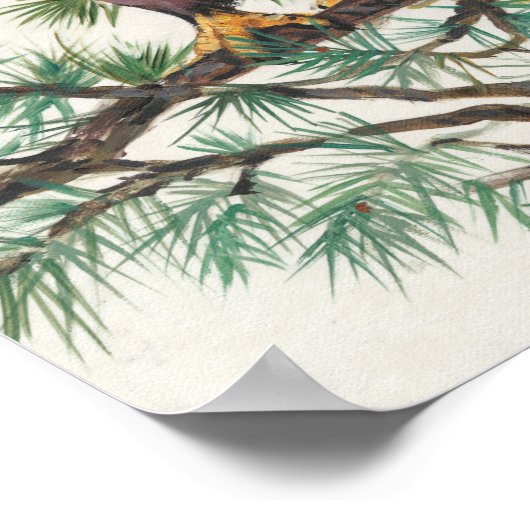 Bald Eagle in Branch Poster (Hoek)