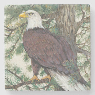 Bald Eagle in Branch Stenen Onderzetter