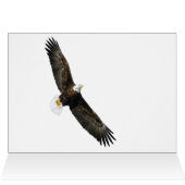 Bald Eagle in Clear Blue Sky (Binnen Horizontaal (Boven))