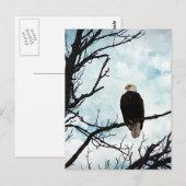 Bald Eagle in een boom met een blauwe hemel en wol Briefkaart (Voorkant / Achterkant)