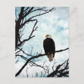 Bald Eagle in een boom met een blauwe hemel en wol Briefkaart (Voorkant)