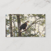 Bald Eagle in een boom Visitekaartje (Achterkant)