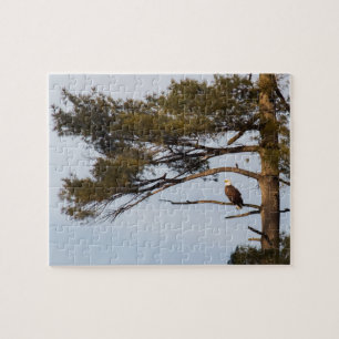 Bald Eagle in een pineboom Legpuzzel