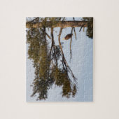 Bald Eagle in een pineboom Legpuzzel (Verticaal)