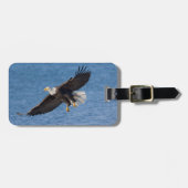 Bald eagle in flight bagagelabel (Voorkant horizontaal)
