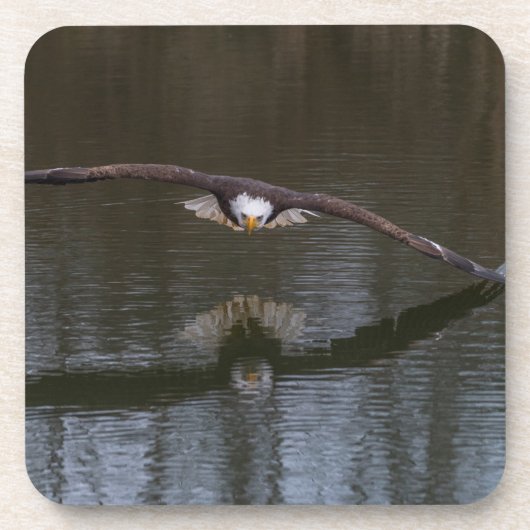 Bald Eagle in Flight Beverage Coaster Bier Onderzetter (Voorkant)
