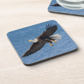 Bald eagle in flight bier onderzetter (Linkerzijde)