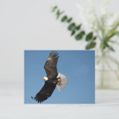 Bald Eagle in Flight Briefkaart (Staand voorkant)