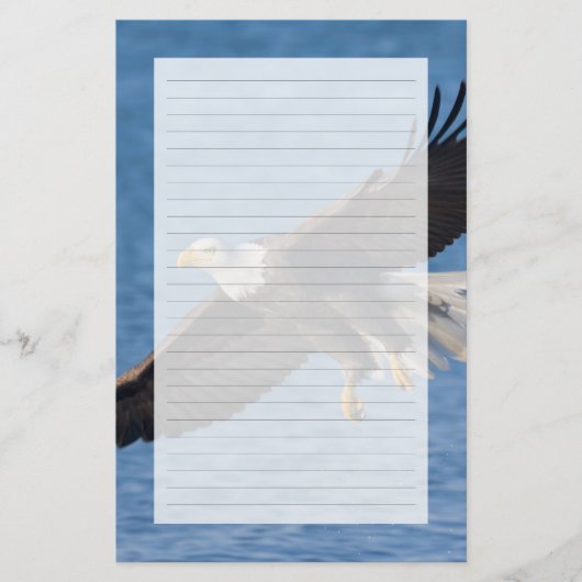 Bald eagle in flight briefpapier (Voorkant)