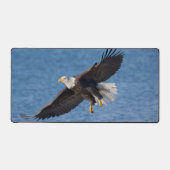Bald eagle in flight bureaumat (Voorkant)