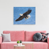 Bald eagle in flight canvas afdruk (Insitu (Woonkamer))