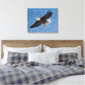 Bald eagle in flight canvas afdruk (Insitu (Slaapkamer))