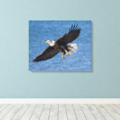 Bald eagle in flight canvas afdruk (Insitu (Houten vloer))