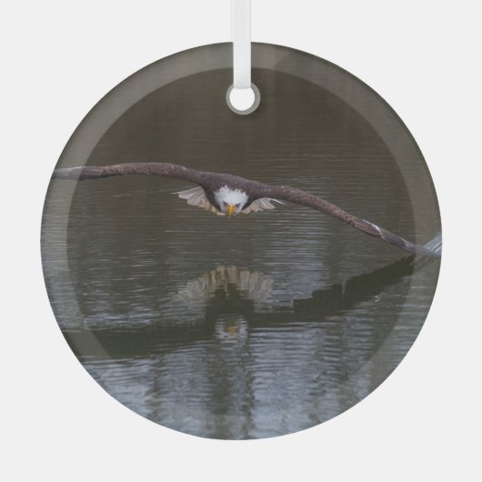 Bald Eagle in Flight Glas Ornament (Voorkant)
