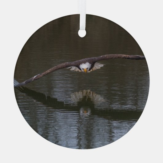 Bald Eagle in Flight Glas Ornament (Achterkant)