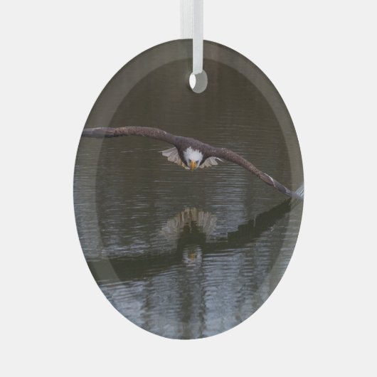 Bald Eagle in Flight Glas Ornament (Voorkant Rechts)