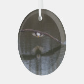 Bald Eagle in Flight Glas Ornament (Voorkant links)