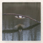 Bald Eagle in Flight Glazen Onderzetter (Voorkant)
