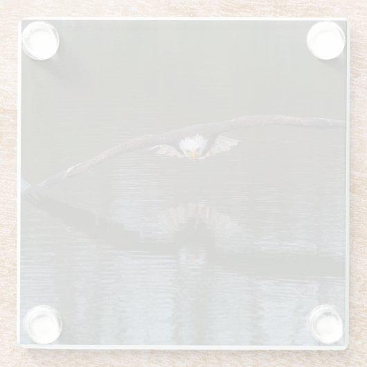 Bald Eagle in Flight Glazen Onderzetter (Achterkant)