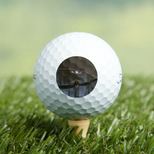 Bald Eagle in Flight Golfballen (Insitu Shirt)