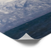 Bald Eagle in Flight, Haliaeetus leucocephalus, 3 Poster (Hoek)