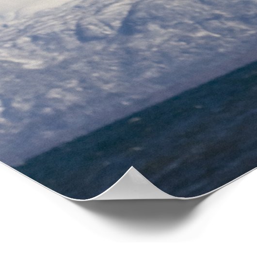 Bald Eagle in Flight, Haliaeetus leucocephalus, 3 Poster (Hoek)