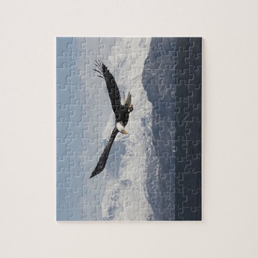 Bald Eagle in Flight, Haliaeetus leucocephalus, Legpuzzel (Verticaal)