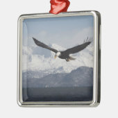 Bald Eagle in Flight, Haliaeetus leucocephalus, Metalen Ornament (Links)