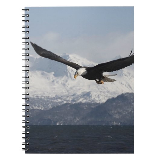 Bald Eagle in Flight, Haliaeetus leucocephalus, Notitieboek (Voorkant)