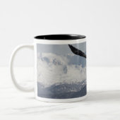 Bald Eagle in Flight, Haliaeetus leucocephalus, Tweekleurige Koffiemok (Links)