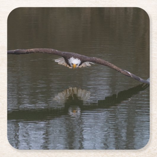 Bald Eagle in Flight Kartonnen Onderzetters (Voorkant)