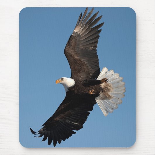 Bald Eagle in Flight Muismat (Voorkant)