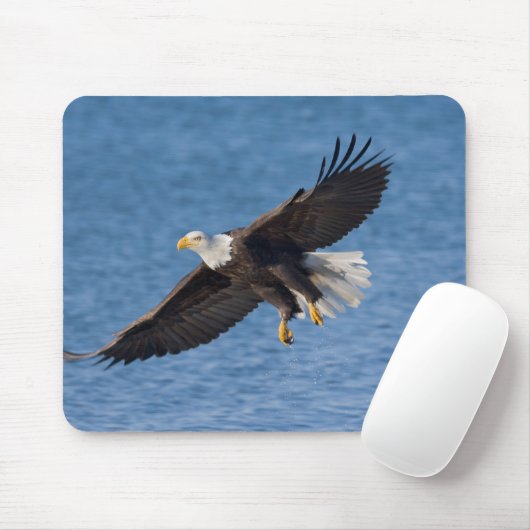 Bald eagle in flight muismat (Met muis)