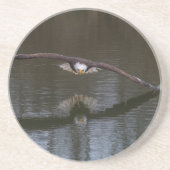 Bald Eagle in Flight Onderzetter (Voorkant)