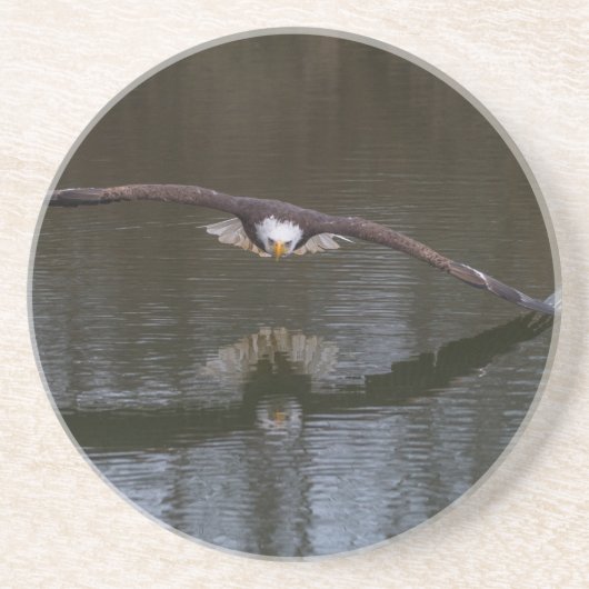 Bald Eagle in Flight Onderzetter (Voorkant)