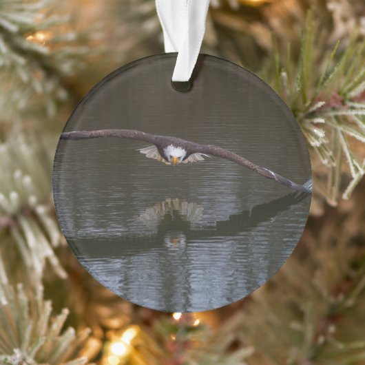 Bald Eagle in Flight Ornament (Boom)
