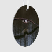 Bald Eagle in Flight Ornament (voorkant)