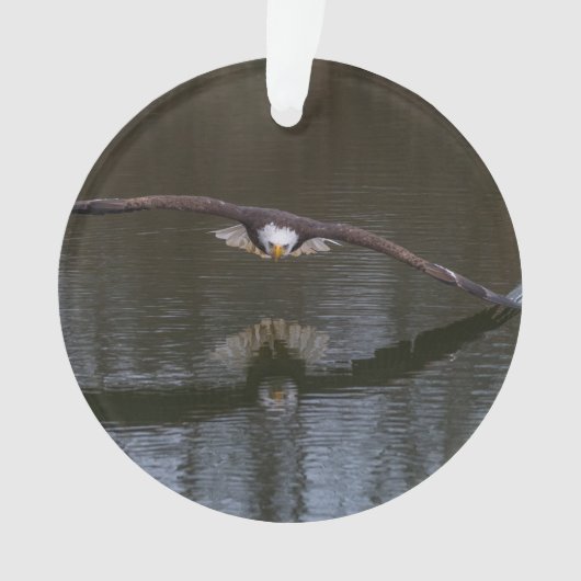 Bald Eagle in Flight Ornament (voorkant)