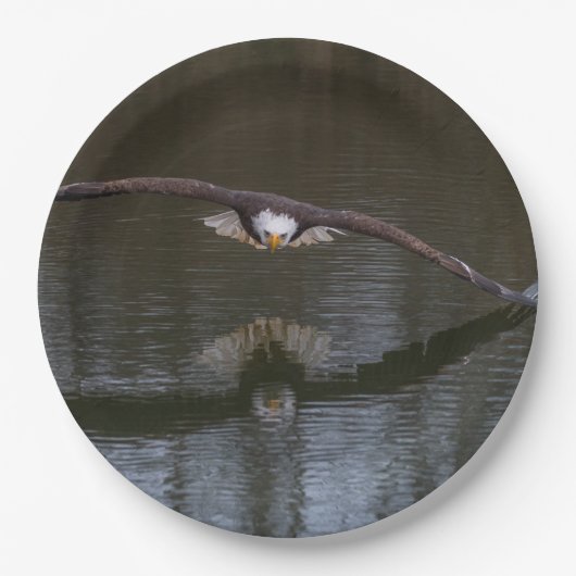 Bald Eagle in Flight Papieren Bordje (Voorkant)