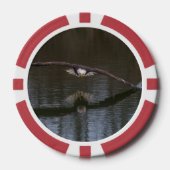 Bald Eagle in Flight Poker Chips (Voorkant)