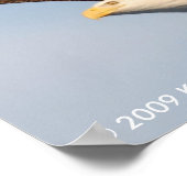 Bald Eagle in Flight Poster (Hoek)