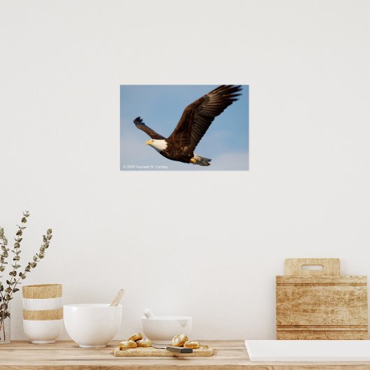 Bald Eagle in Flight Poster (Keuken)