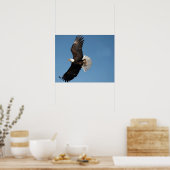 Bald Eagle in Flight Poster (Keuken)