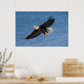 Bald eagle in flight poster (Keuken)