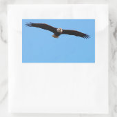 Bald Eagle in Flight Rechthoekige Sticker (Tas)