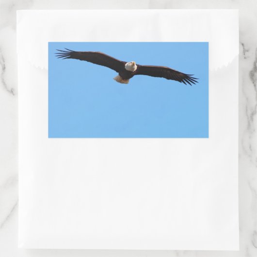 Bald Eagle in Flight Rechthoekige Sticker (Tas)