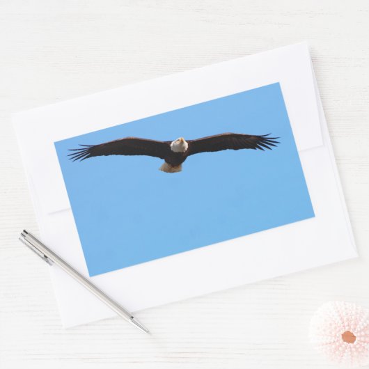 Bald Eagle in Flight Rechthoekige Sticker (Envelop)