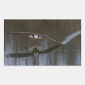 Bald Eagle in Flight Rechthoekige Sticker (Voorkant)